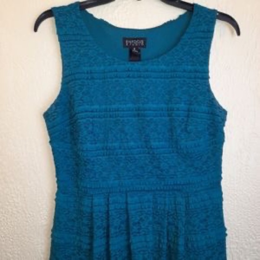 Enfocus Studio Fit and Flare Lace Overlay Sleeveless Dress Size 4
